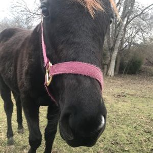 Attention: 15% off bundles of 5 or more items!♥️